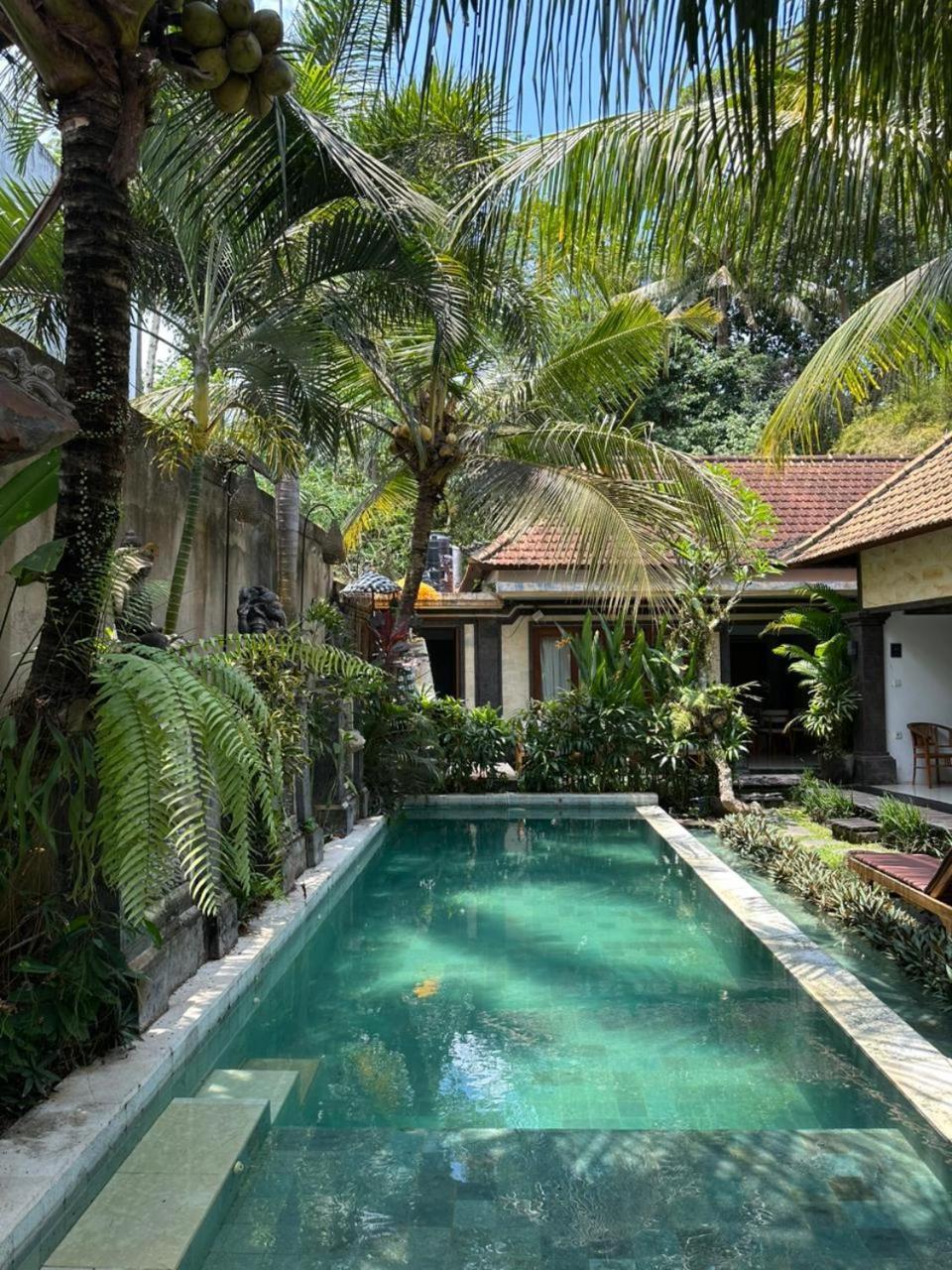 Accommodatie bij particulieren The Palm *